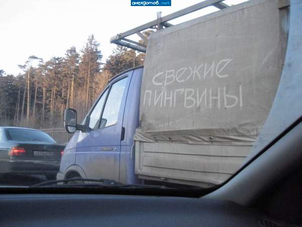 Конечно свежие! Шкипер руководит, Ковальски рулит, а Рико и Прапор давят на педали!