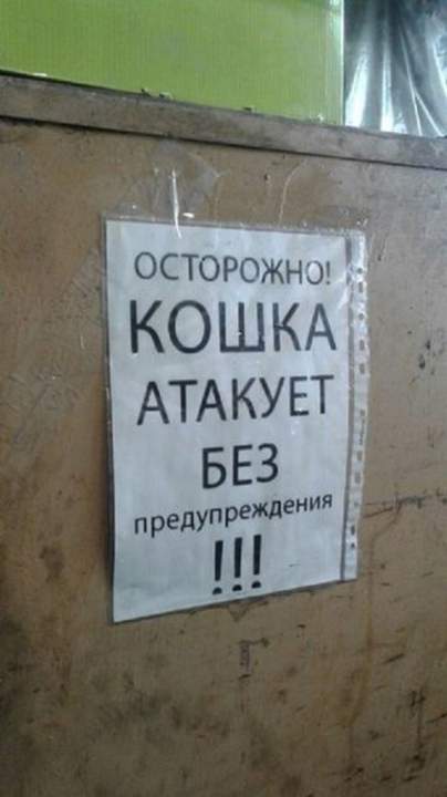А кто это тогда написал?