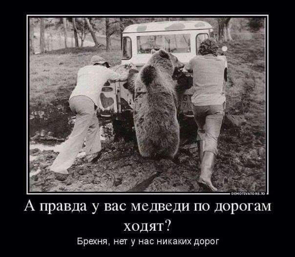 В нашем Простоквашено дороги такие, что уже ездовые академики встречаются