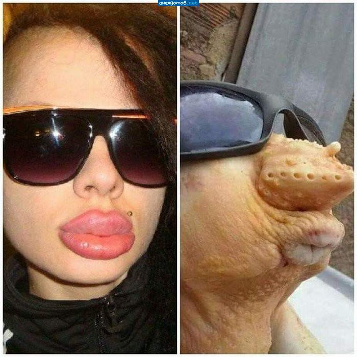 Найдите 10 отличий.