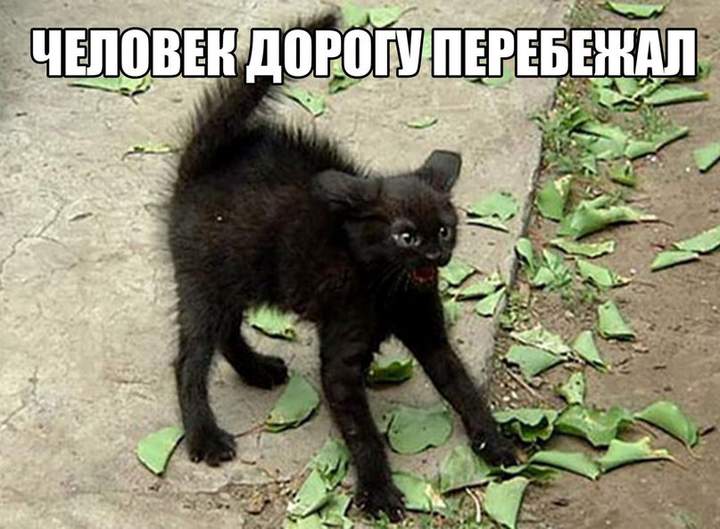 Что испугались
