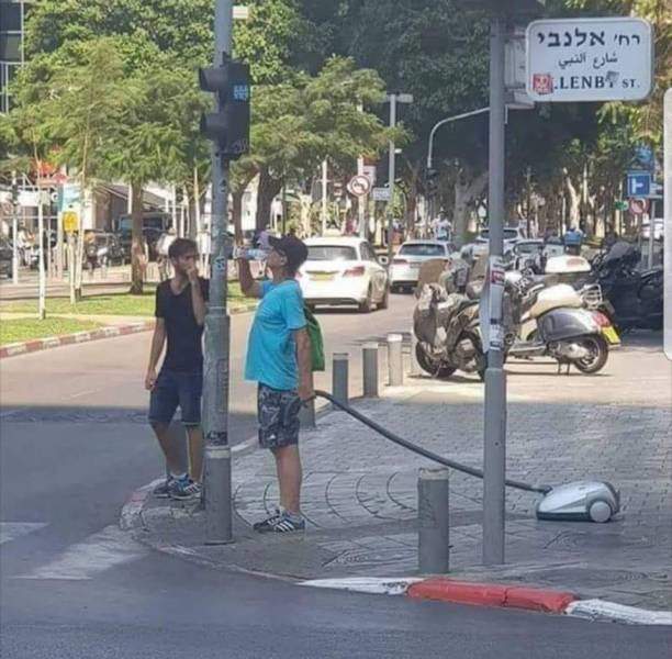 Домашние слоники бывают разные...