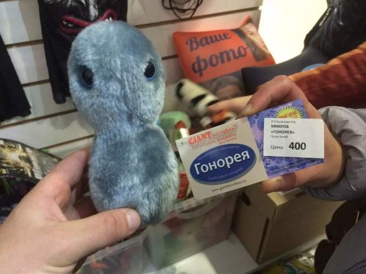 какой пушистый триппер)