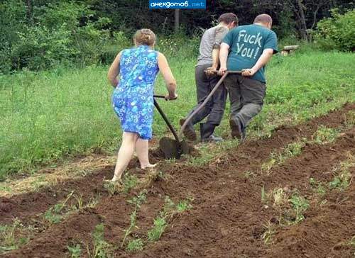 Коней на скаку остановит, а надо - и в плуг запряжет!