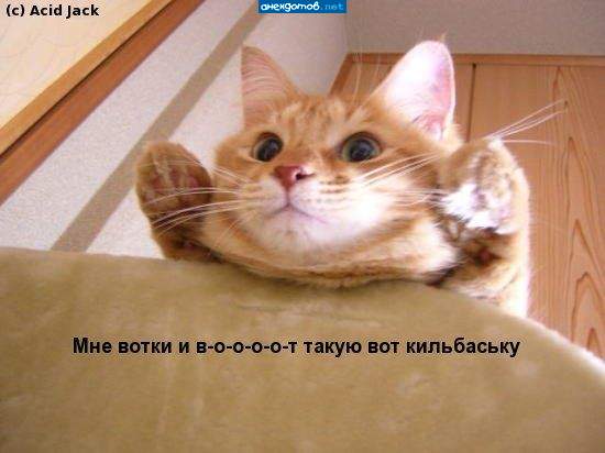 А Кк зацелует и заласкает......:)